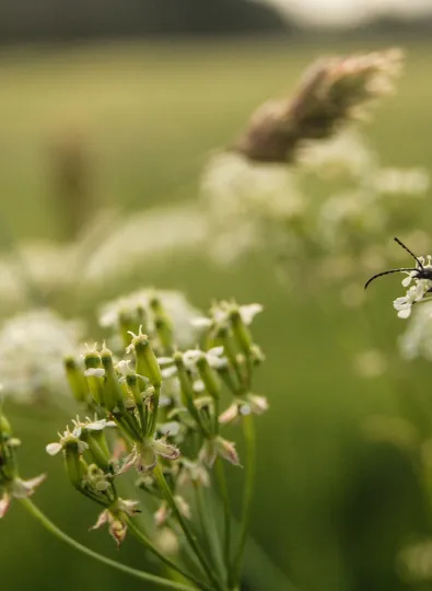 engagements pour la transition écologique