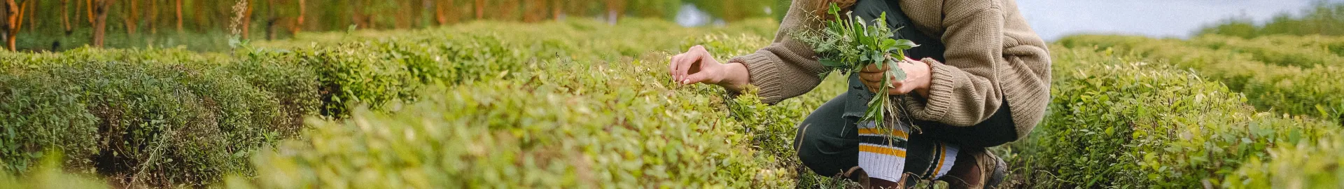 biodiversité cosmétique marque