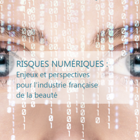 Risques numériques 